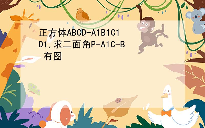 正方体ABCD-A1B1C1D1,求二面角P-A1C-B 有图