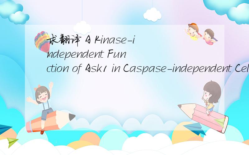 求翻译 A Kinase-independent Function of Ask1 in Caspase-independent Cell Death