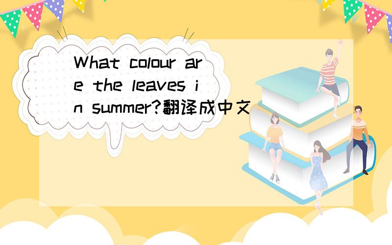 What colour are the leaves in summer?翻译成中文