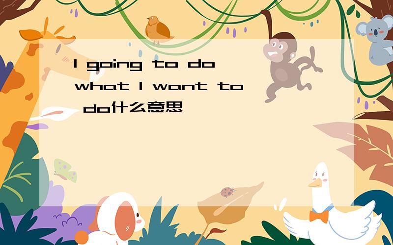 I going to do what I want to do什么意思