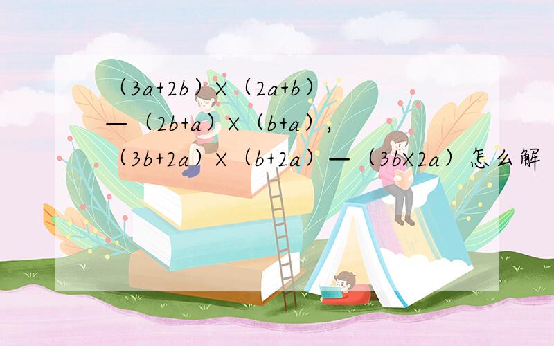 （3a+2b）X（2a+b）—（2b+a）X（b+a）,（3b+2a）X（b+2a）—（3bX2a）怎么解