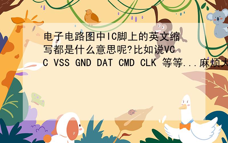 电子电路图中IC脚上的英文缩写都是什么意思呢?比如说VCC VSS GND DAT CMD CLK 等等...麻烦大哥大姐们讲得全面通俗点小弟是菜鸟!能不能全面点啊,有很多没列出来的也能说下吗!