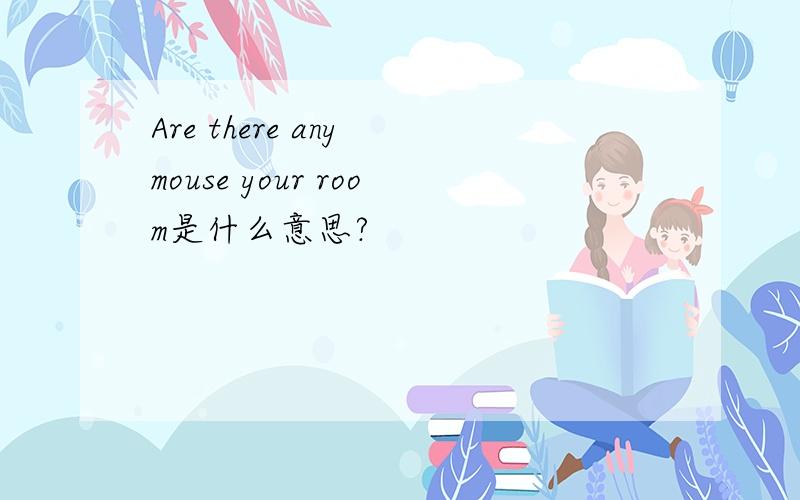 Are there any mouse your room是什么意思?