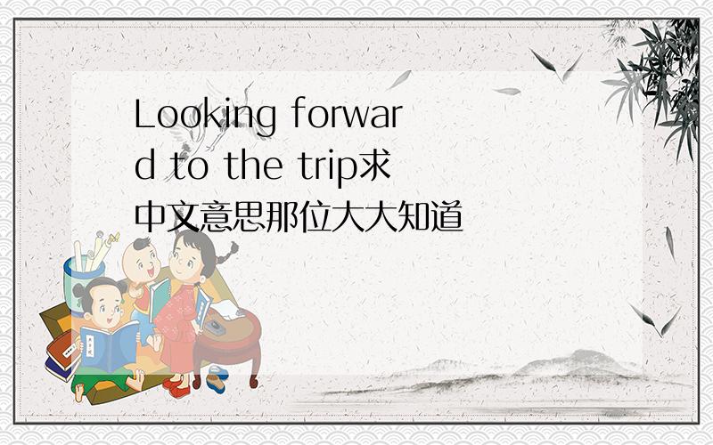 Looking forward to the trip求中文意思那位大大知道
