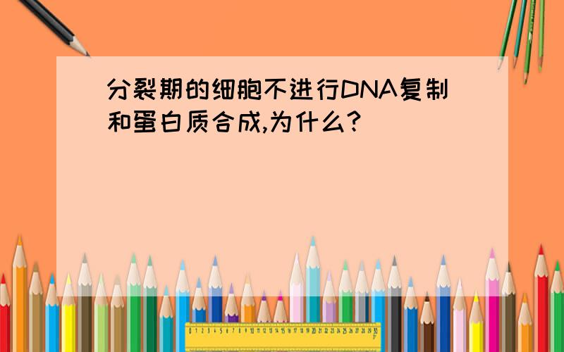 分裂期的细胞不进行DNA复制和蛋白质合成,为什么?