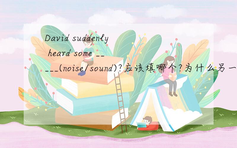 David suddenly heard some _____(noise/sound)?应该填哪个?为什么另一个不行?