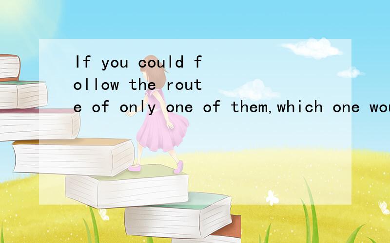 If you could follow the route of only one of them,which one would you choose?