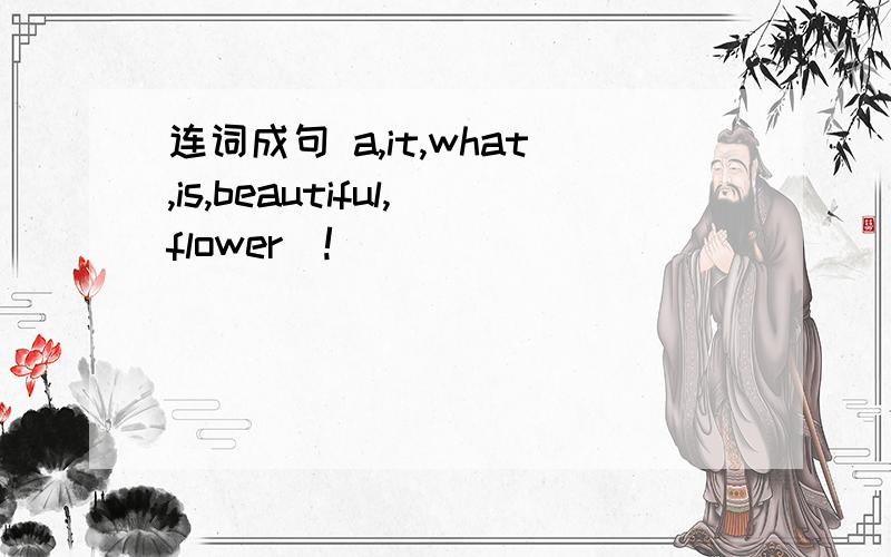 连词成句 a,it,what,is,beautiful,flower(!)