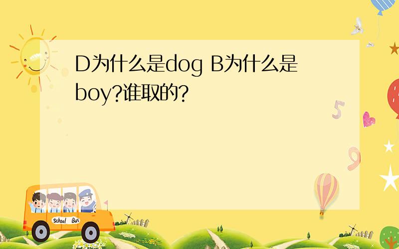 D为什么是dog B为什么是boy?谁取的?